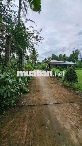 📣 CHÍNH CHỦ BÁN ĐẤT CÓ THỔ CƯ - GIÁ 500 Triệu - CÁCH TP GÒ CÔNG 6KM 🔥