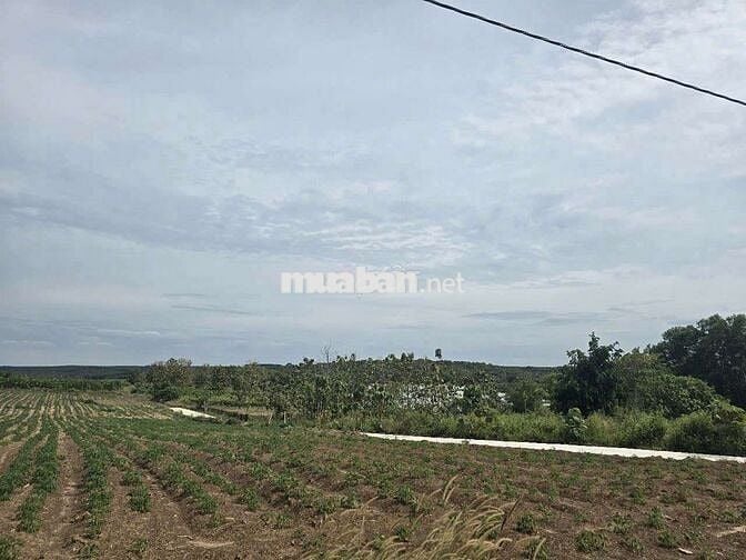 168triệu Lộc Ninh - Bình Phước