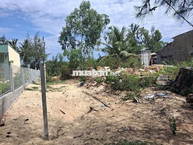 Bán đất thổ cư tam hải sát biển