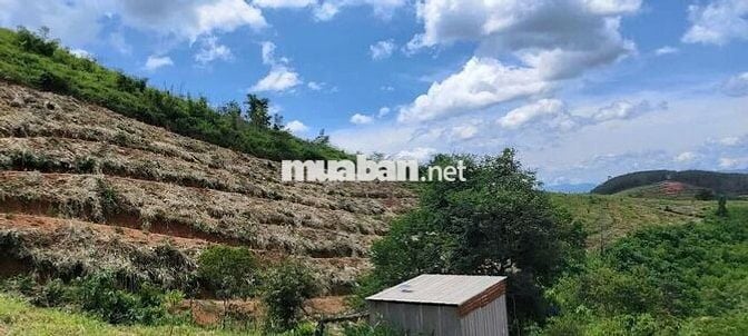 Bán 7ha đất rẫy Ngọc Wang, Đắk Hà, Kon Tum( Quang Ngãi)