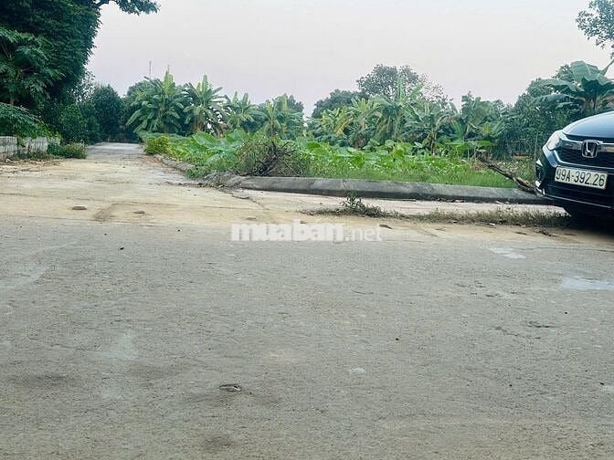 LÔ GÓC,  TRỤC CHÍNH 178,7M2 PHÚ CÁT