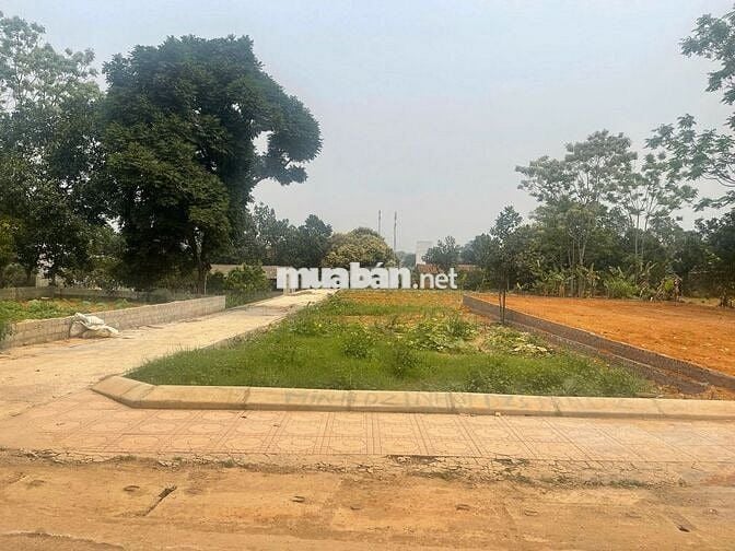 LÔ GÓC,  TRỤC CHÍNH 178,7M2 PHÚ CÁT