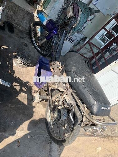 Kawasaki Max II Tím, Trắng