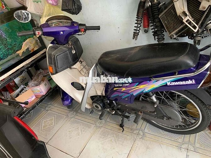 Kawasaki Max II Tím, Trắng