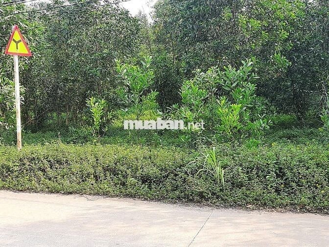 ĐẤT MẶT TIỀN 23M SIÊU ĐẸP–PHƯỜNG TÂN UYÊN,TP.HCM.Giá 1,92 tỷ–200m² ONT