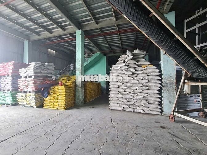 Cho Thuê Xưởng 1212m2 khu công nghiệp Thái Hòa, Đức Hòa 3, Tây Ninh.