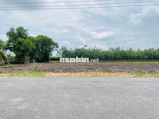 🏡 BÁN ĐẤT GIÁ TỐT - ĐƯỜNG NHỰA, FULL THỔ CƯ - CHỈ 470 TRIỆU