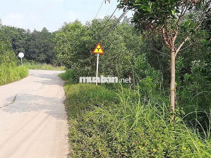 ĐẤT MẶT TIỀN 23M SIÊU ĐẸP–PHƯỜNG TÂN UYÊN,TP.HCM.Giá 1,92 tỷ–200m² ONT