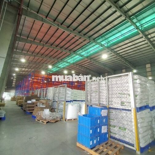 Cho thuê kho xưởng KCN Tân Đô,Tân Đức, Hải Sơn, long an (Tây Ninh mới)