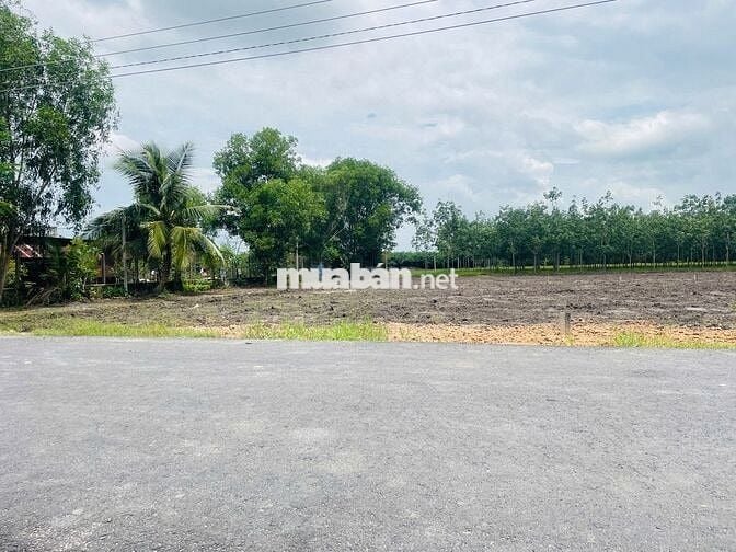 🏡 BÁN ĐẤT GIÁ TỐT - ĐƯỜNG NHỰA, FULL THỔ CƯ - CHỈ 470 TRIỆU