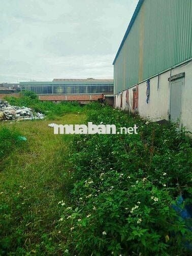 Cho thuê kho, xưởng 1500m2 đường Contener 24/24