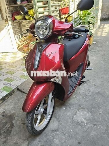 Xe mới đăng ký được 16 ngày