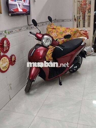 Xe mới đăng ký được 16 ngày