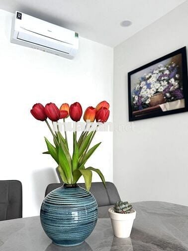 Cho thuê căn hộ cao cấp Central Premium 854 Tạ Quang Bửu, Q8.