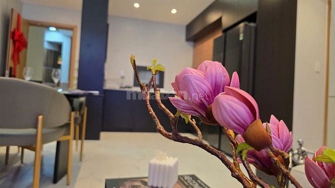 Tiêu đề khuyên dùng: The Win City Long An: $1.X Tỷ/Căn. Cửa Ngõ HCM