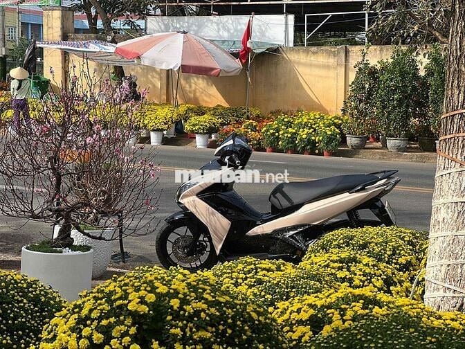 nhanh gọn có hớt ***