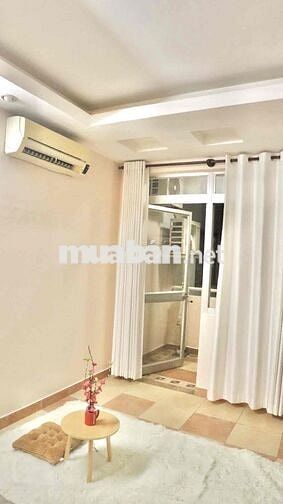 Cho thuê căn hộ 2PN Hưng Vượng 3 Phú Mỹ Hưng Q.7