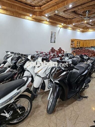 Honda Wave 110 Đen Trắng Xanh