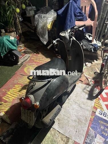 Honda Scopy màu Bạc