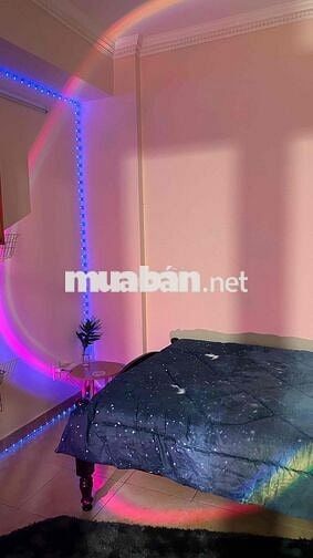 Cho thuê căn hộ 2PN Hưng Vượng 3 Phú Mỹ Hưng Q.7