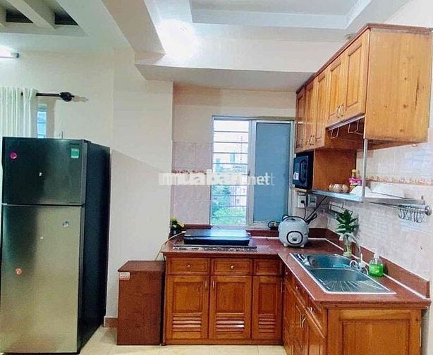 Cho thuê căn hộ 2PN Hưng Vượng 3 Phú Mỹ Hưng Q.7