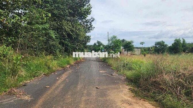 BÁN ĐẤT THỔ CƯ  LÔ GÓC 2 MT ĐƯỜNG ĐT 769 XÃ LỘC AN LONG THÀNH ĐỒNG NAI