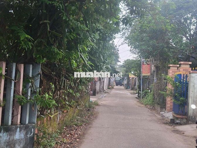 Chào bán lô đất bê tông chính điện ngọc 6*26