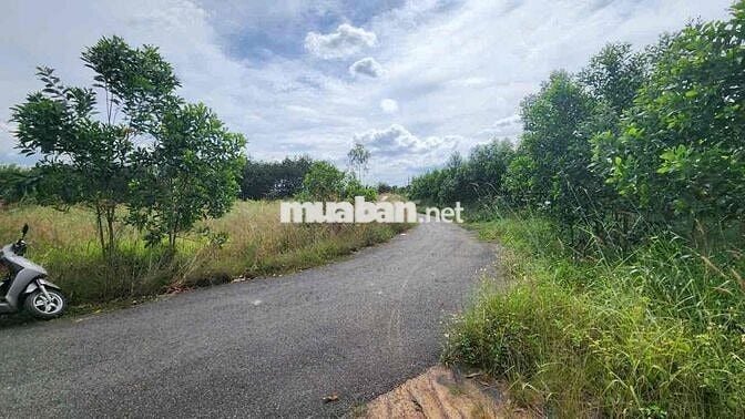 BÁN ĐẤT THỔ CƯ  LÔ GÓC 2 MT ĐƯỜNG ĐT 769 XÃ LỘC AN LONG THÀNH ĐỒNG NAI
