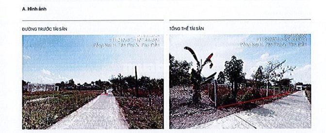 BÁN ĐẤU GIÁ TS VIB L11_XÃ PHÚ ĐIỀN, TÂN PHÚ, ĐỒNG NAI