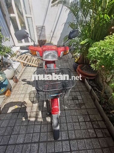 Xe Dream đỏ đăng ký năm 1997