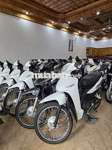 Honda Wave 110 Đen Trắng Xanh