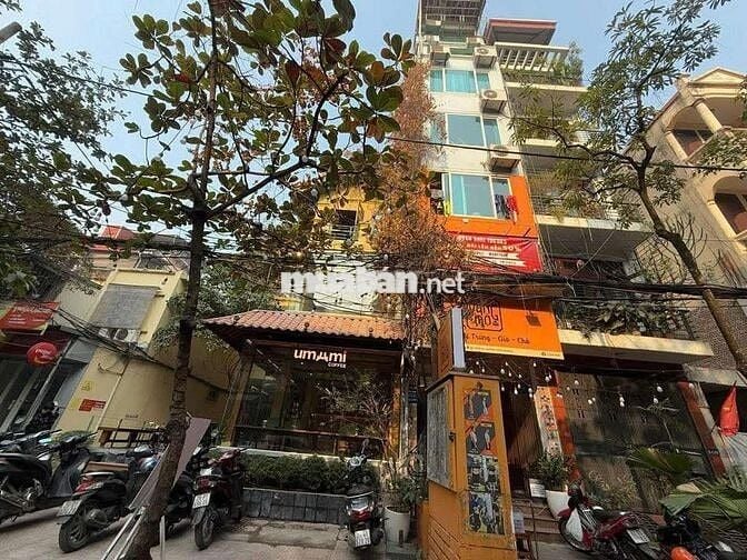 Cho thuê Tầng 1 toà Văn phòng 6 tầng phố Huỳnh Thúc Kháng 65 m2