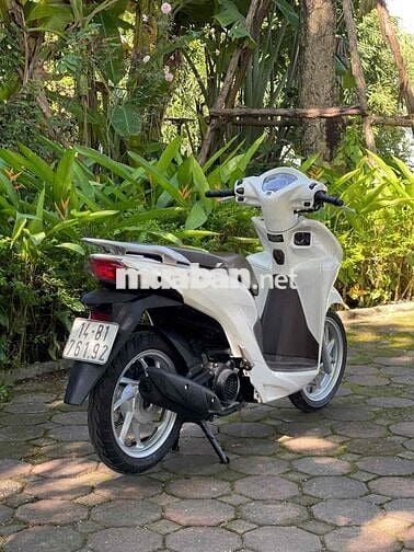 VISION Nguyên Bản 2021 Chất_Bảo Hành 2 Năm