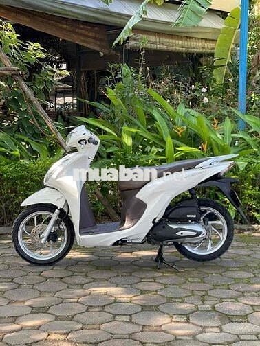 VISION Nguyên Bản 2021 Chất_Bảo Hành 2 Năm