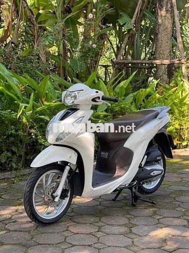 VISION Nguyên Bản 2021 Chất_Bảo Hành 2 Năm