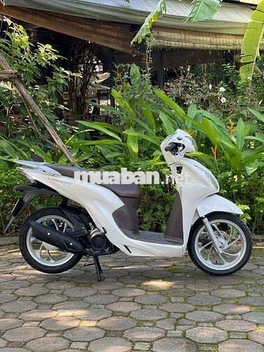 VISION Nguyên Bản 2021 Chất_Bảo Hành 2 Năm