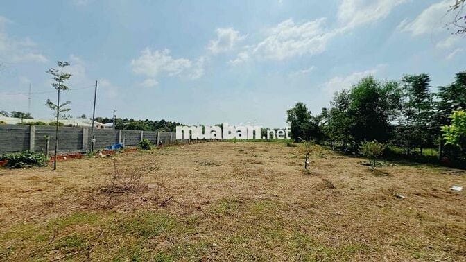 🏝️ TRUNG TÂM TT.PHƯỚC HẢI- GẦN TRƯỜNG TIỂU HỌC LONG MỸ