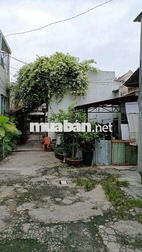 Phòng trọ sinh viên - CN viên giá rẻ