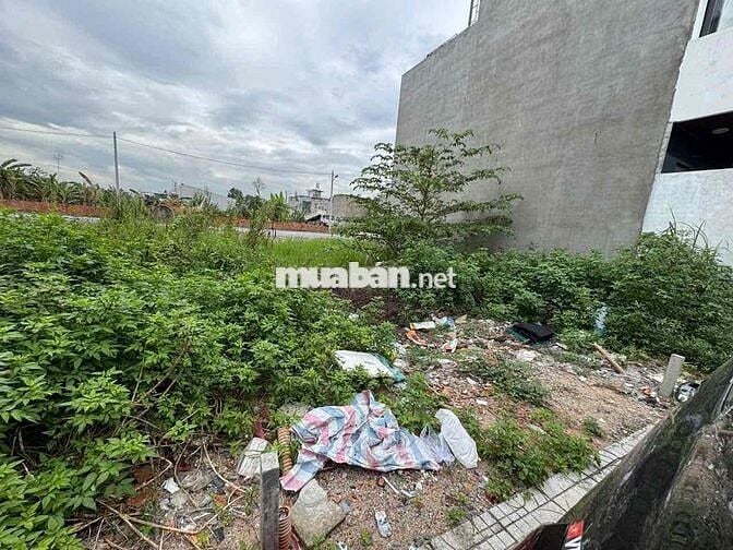 Bán Đất Thổ Cư 1768 Tỉnh Lộ 10 , Dt 4x15 , SHR , NH hổ trợ 70%.