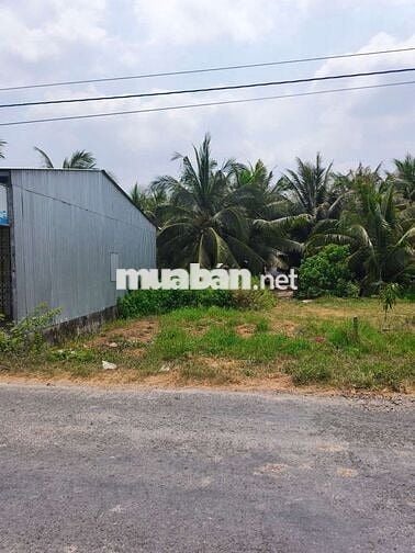 Đất nền 7x 14m mặt tiền lộ 8 tấn phú đức - long an