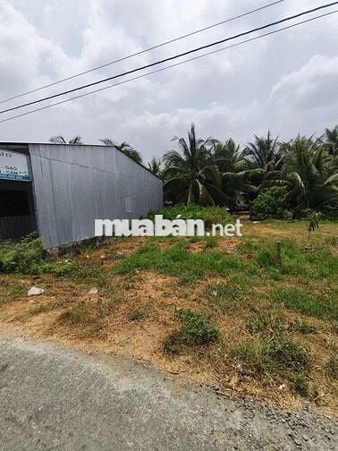 Đất nền 7x 14m mặt tiền lộ 8 tấn phú đức - long an