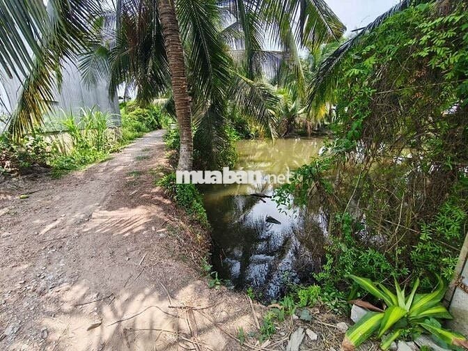 Đất nền 7x 14m mặt tiền lộ 8 tấn phú đức - long an