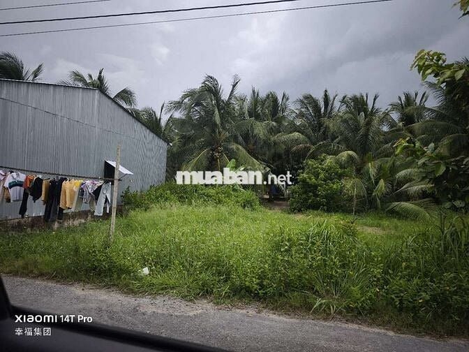 Đất nền 7x 14m mặt tiền lộ 8 tấn phú đức - long an