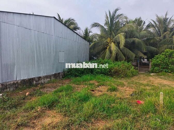 Đất nền 7x 14m mặt tiền lộ 8 tấn phú đức - long an