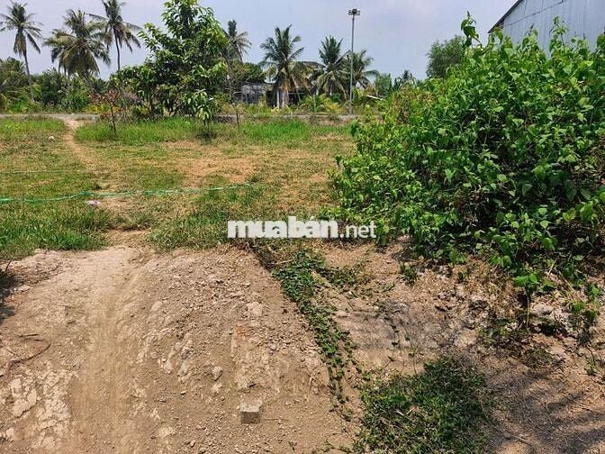 Đất nền 7x 14m mặt tiền lộ 8 tấn phú đức - long an