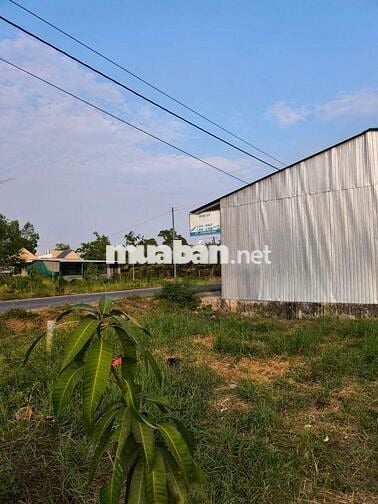 Đất nền 7x 14m mặt tiền lộ 8 tấn phú đức - long an