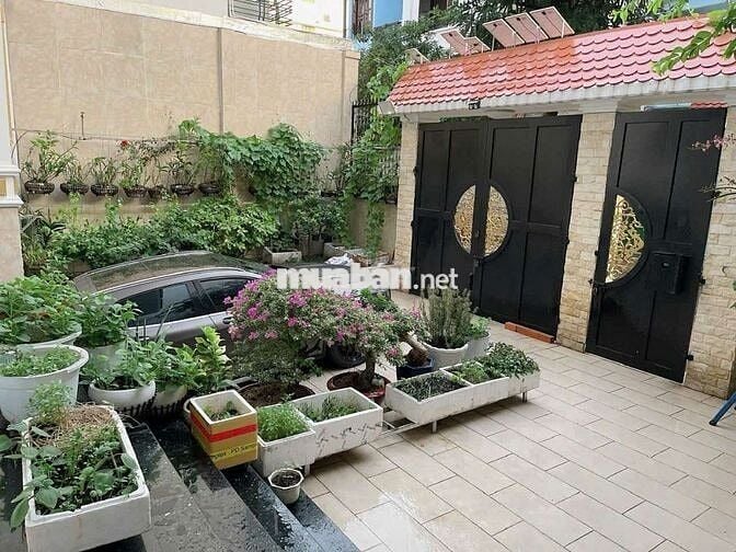 BIỆT THỰ PHỔ QUANG 10X20,3L, P2.TB