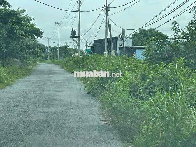 bán đất mặt tiền  ấp 3-4  mặt tiền sông hiệp phước nhà bè