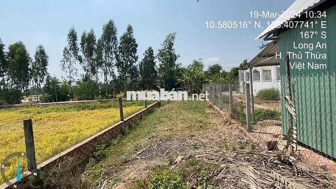 Ngân hàng thanh lý 270m2 đất mặt tiền tại Bình Thạnh, Thủ Thừa, LA