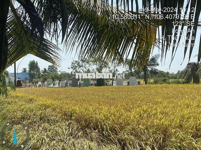 Ngân hàng thanh lý 270m2 đất mặt tiền tại Bình Thạnh, Thủ Thừa, LA